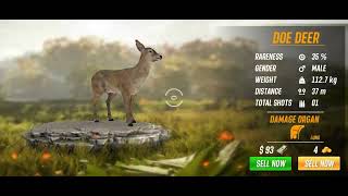 Deer hunter game screenshot 3