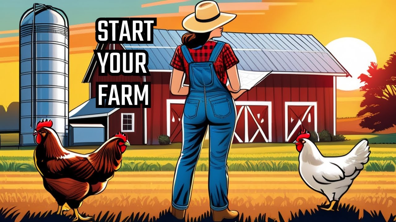 Chicken plan | How to start a project step by step | Farm Projects ...