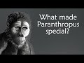 The genus paranthropus the last of the apepeople  paranthropus evolution  human origins