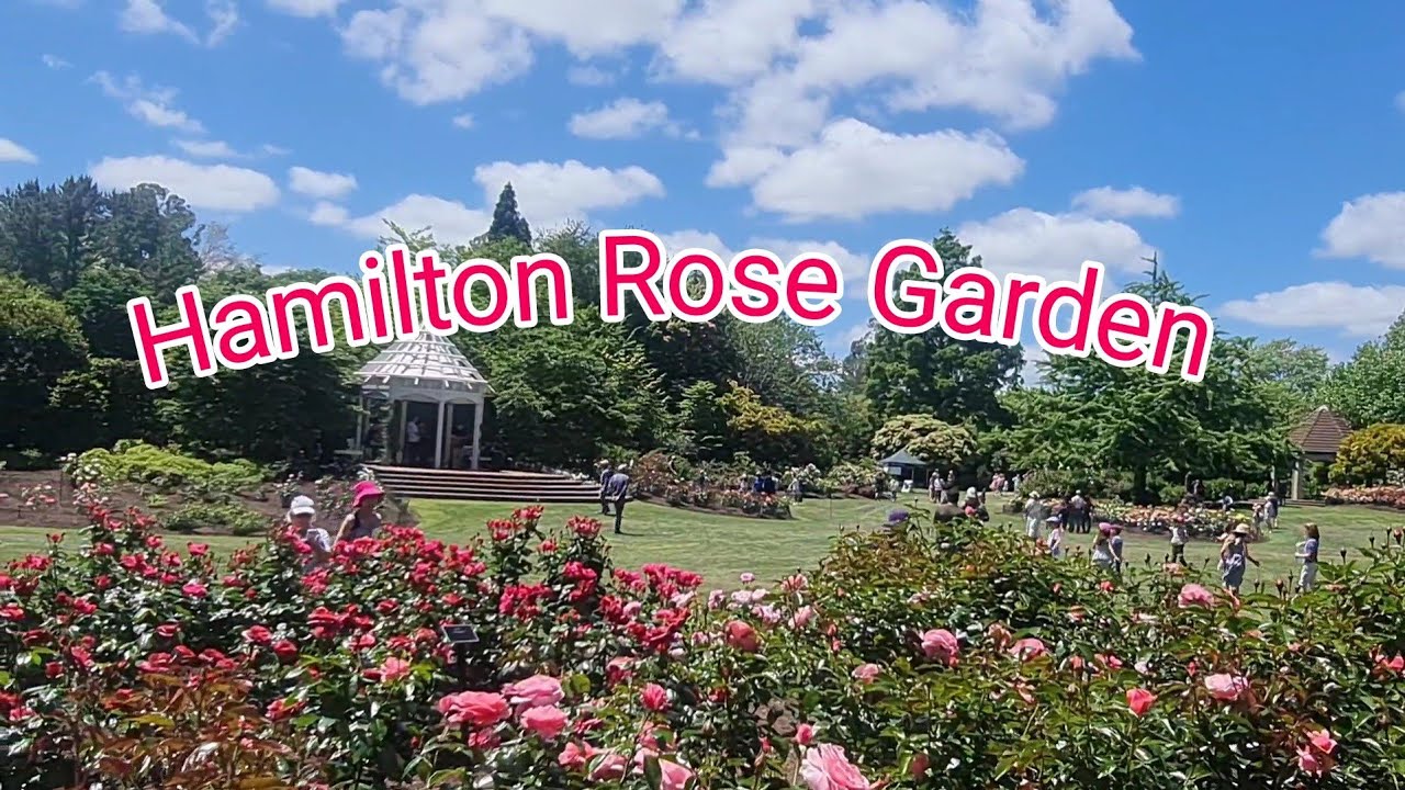 Rogers Rose Garden, Hamilton YouTube