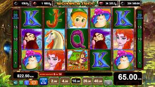 wonder tree big win