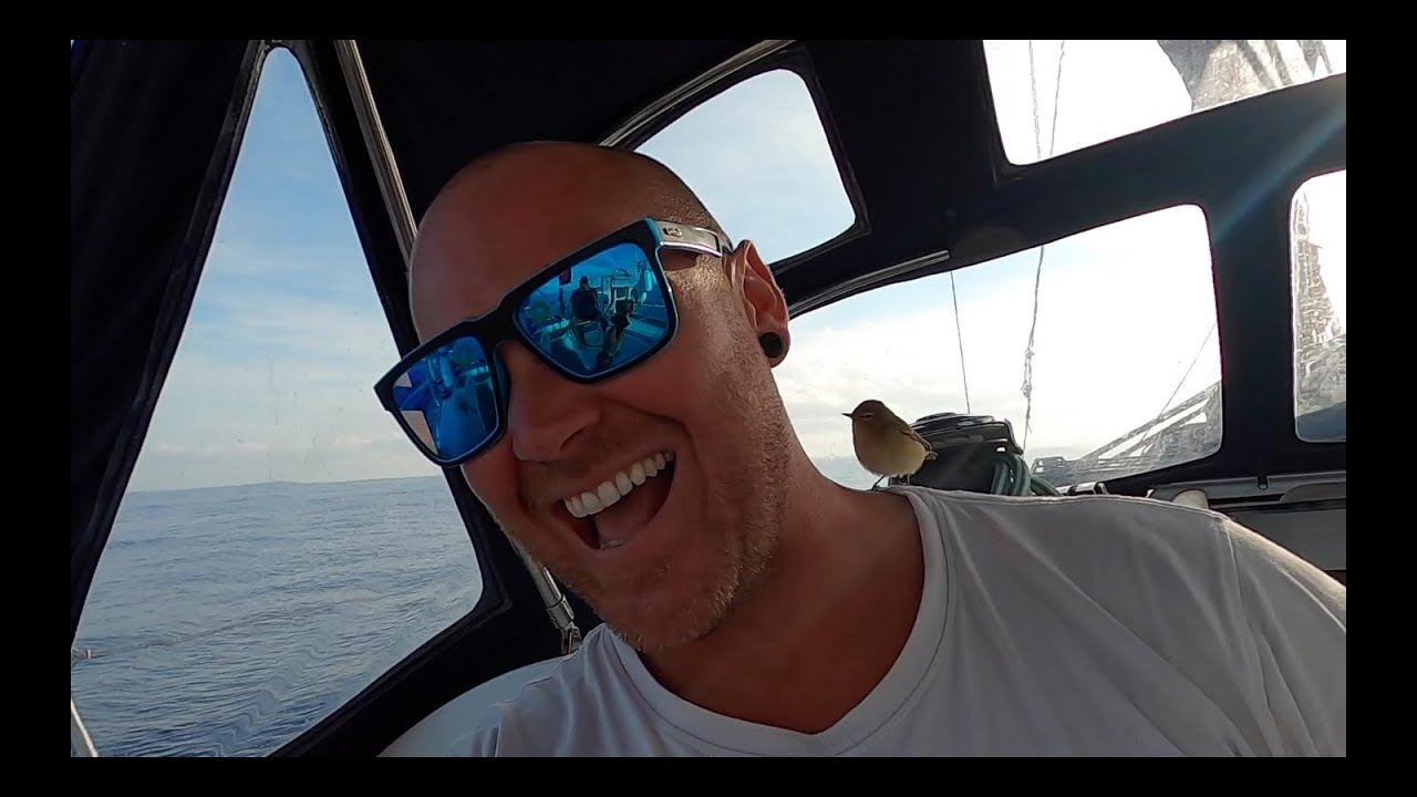 Ep 19. Does it have to be a parrot to be a pirate?