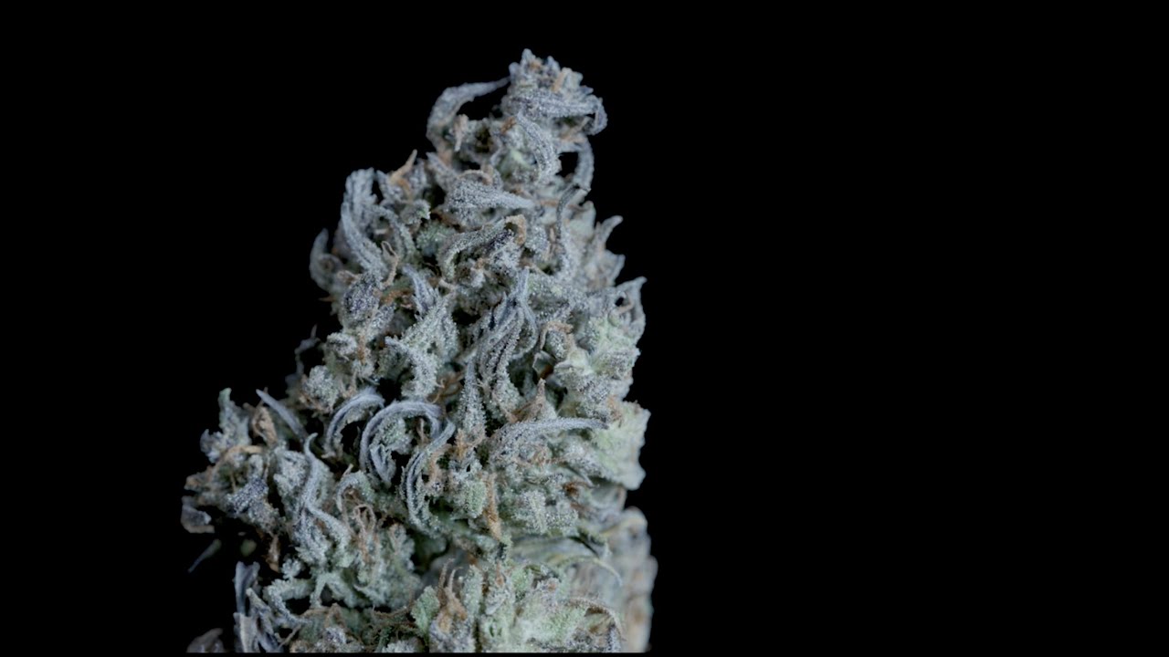 Cbd Blüte Edelweiß