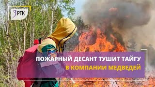 Пожарный десант тушит тайгу в компании медведей