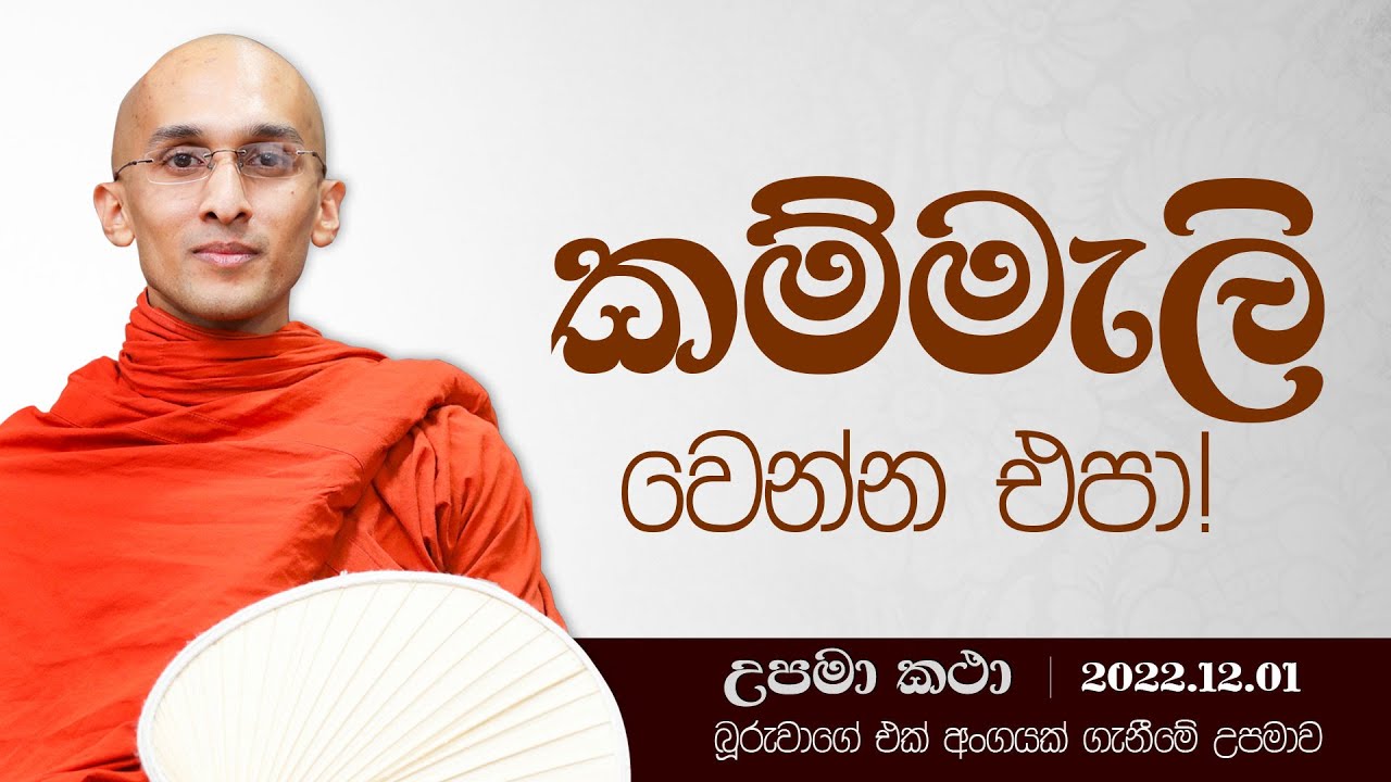 01) කම්මැලි වෙන්න එපා! | දහම් අරුතින් පිරි උපමා කතා | ‍2022.12.01