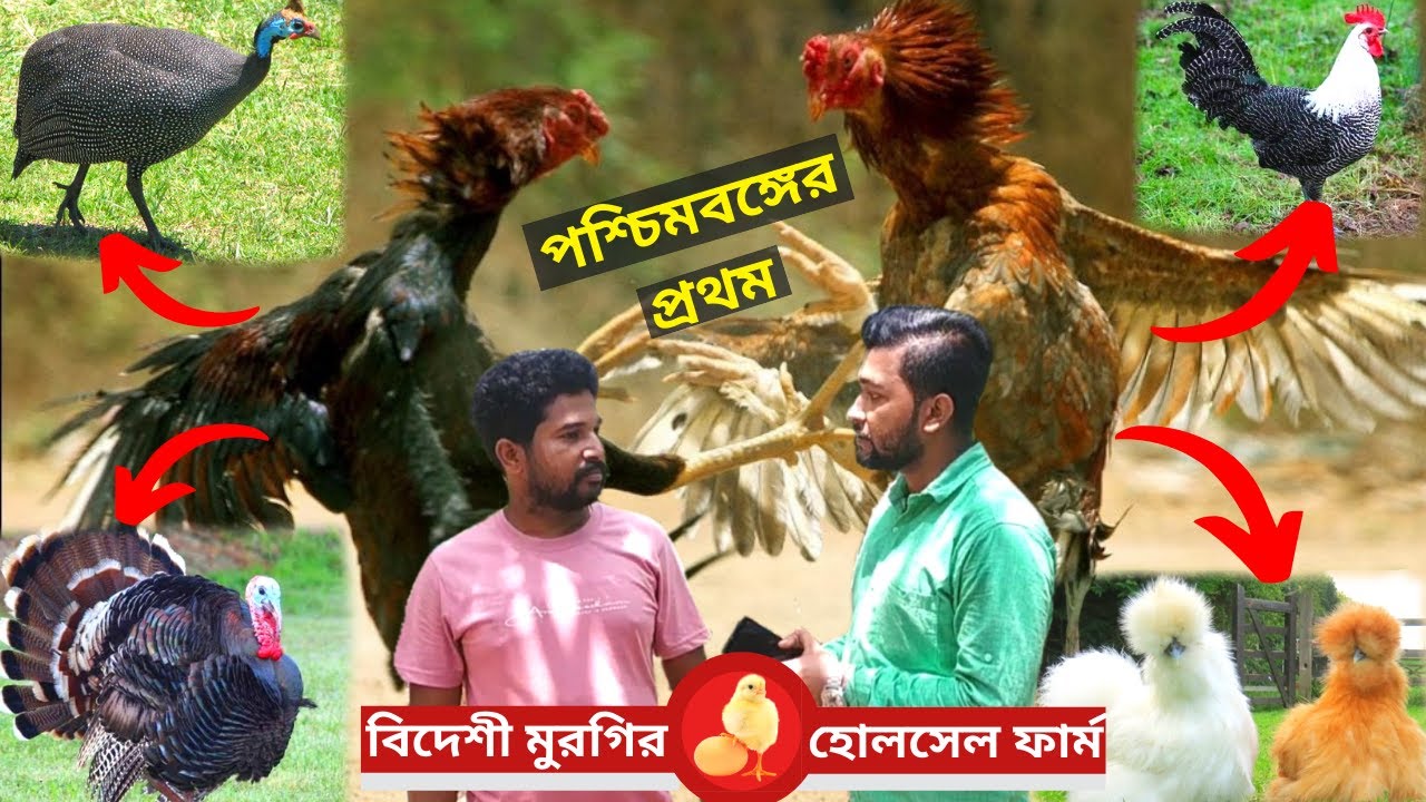 পশ্চিমবঙ্গের প্রথম বিদেশি মুরগি হোলসেল ফার্ম।