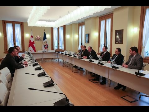 პრეზიდენტი \"თავისუფალი დემოკრატების\" ლიდერებს შეხვდა