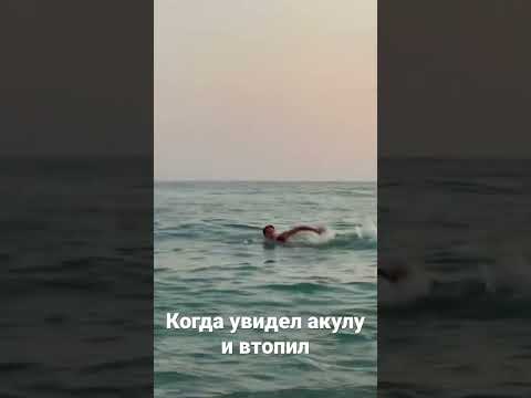 Выжил#акула #турция #наснедогонят