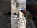 極猫一家vs大空組の戦いPart2 #鷹匠 #鷹狩り #ハリスホーク #捨て猫 #保護猫 #猛禽類