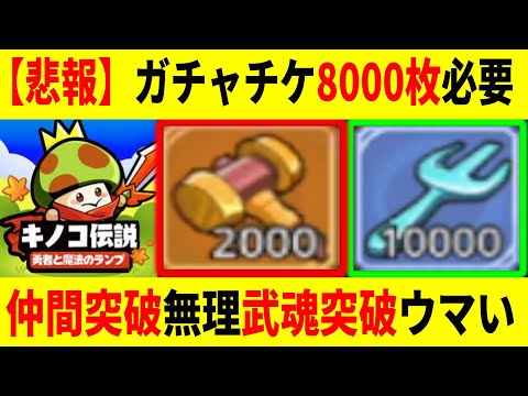 キノコ伝説 】ガチャチケ8000枚貯めてない人いないよね？仲間突破/武魂