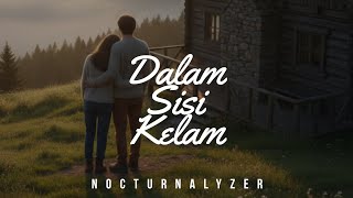 Dalam Sisi Kelam   S   Nocturnalyzer