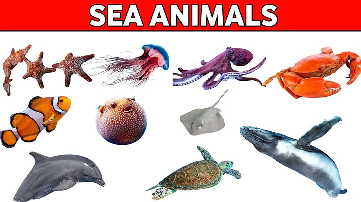 20 Sea Animals for Kids | Learn Ocean Animal Names in English with Sounds and Pictures | Marine Life