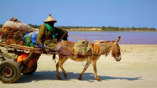 Je M Eclate Au Senegal