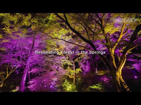 Resonating Forest in the Springs