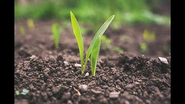 Instructional Guide for the Teros 12 Soil Moisture and Temperature Sensor