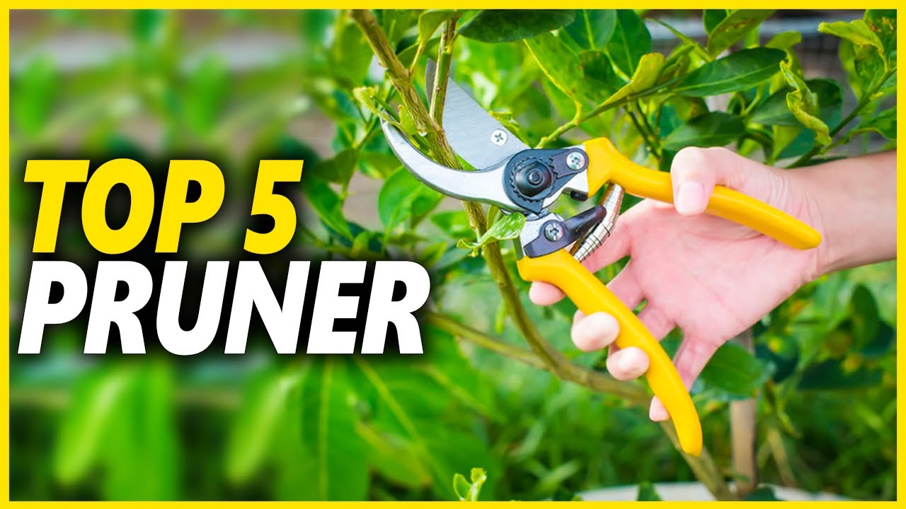 Top 5 Best Pruners And Garden Shears For Easy Gardening YouTube