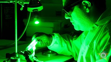 HCSO Latent Print Examiner