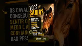 🐎 Você sabia disso sobre os cavalos? 😳🔥 #cavalo #pecuarista #equinos #sertanejo #fazenda #agro