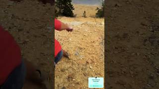 Friend almost falls to his death during a trip to Colorado #longtrip #mountains
