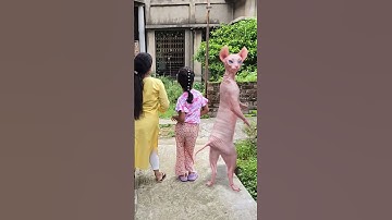 cute cat dancing video || cat videos funny short dance 🥰😺#shorts #funny #trending