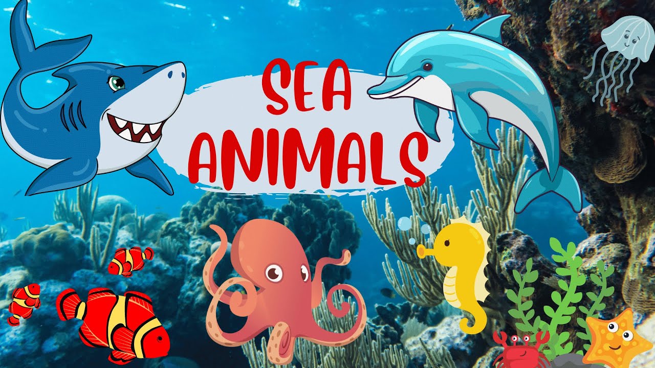 Learn and explore about SEA ANIMALS YouTube