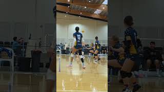 SVL 2025 Rnd 8 - Women's Premier - @provolleyaustralia  -v-  Endeavour Volleyball