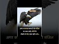 #trending #shailendra #palsir #facts #spartan #viral
