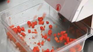 Vegetable Cutting Machine for hotel school, Vegetable Slicer Machine, small vegetable cutter