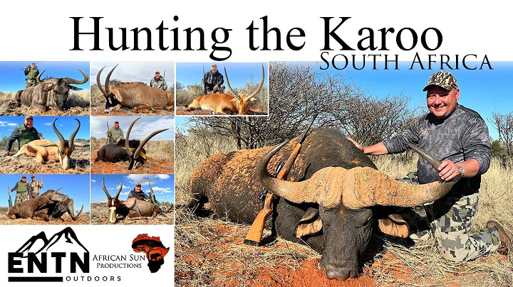 Hunt the most dangerous animals in the world - Cape Buffalo