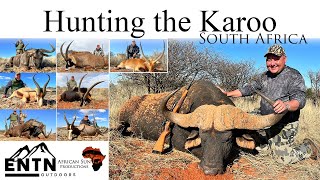 Hunt the most dangerous animals in the world - Cape Buffalo screenshot 3