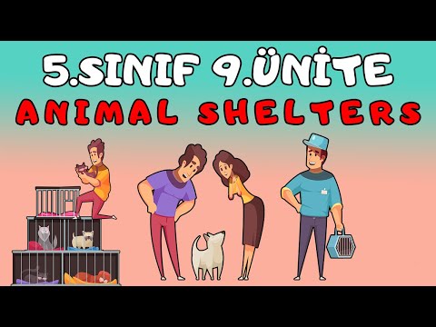 5.SINIF İNGİLİZCE 9.ÜNİTE KELİMELERİ VE KONU ANLATIMI | ANIMAL SHELTERS