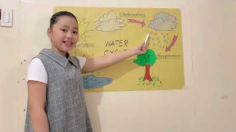 Water Cycle ( Science Performance task)