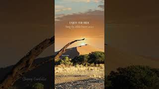 Enjoy The Ride  Song By Able Heart 2025