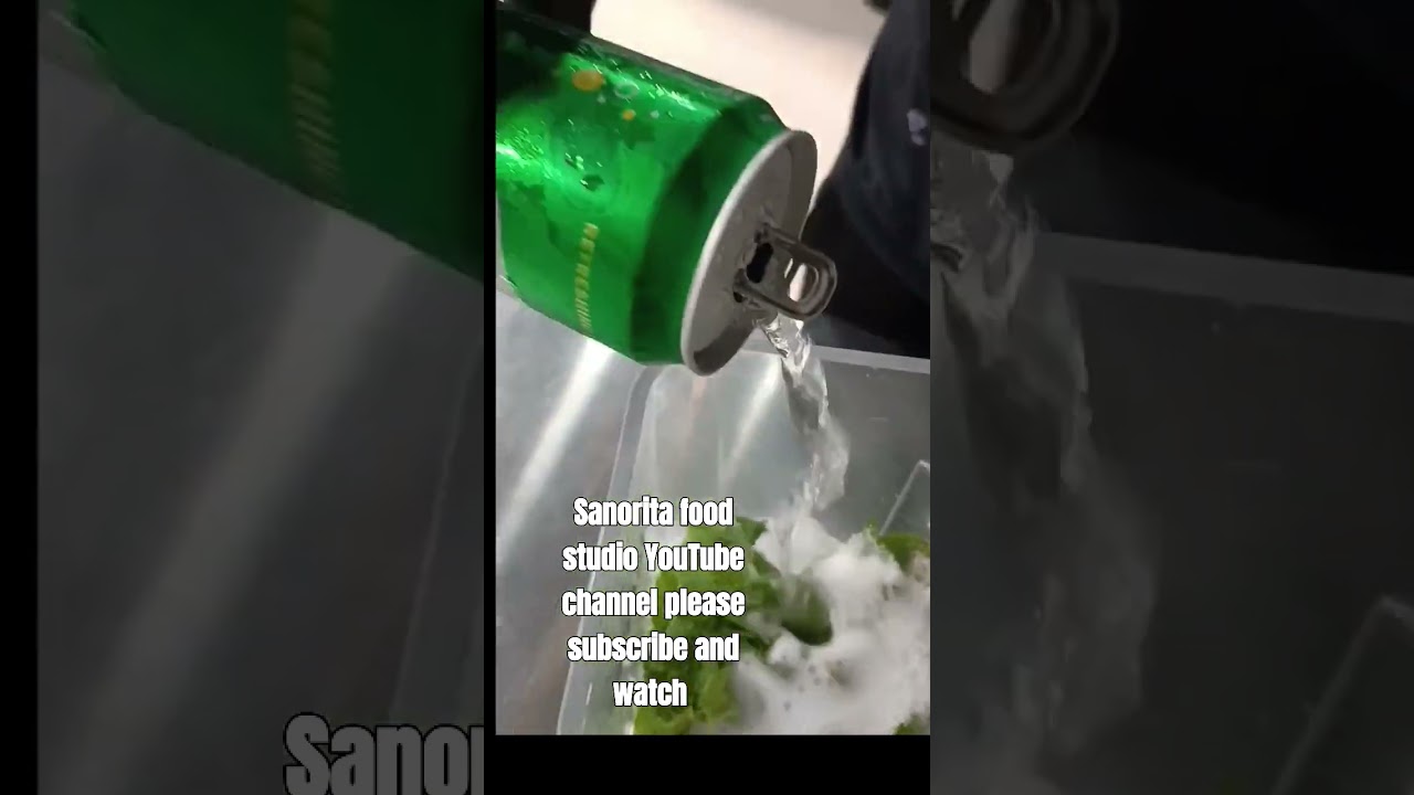 Mint majito by Sanorita food studio YouTube channel 