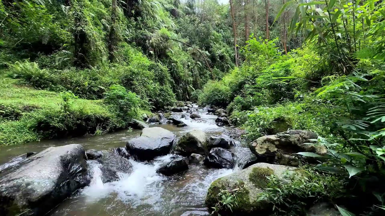 Natural river sound at night guiding deeper deep sleep under calm protection