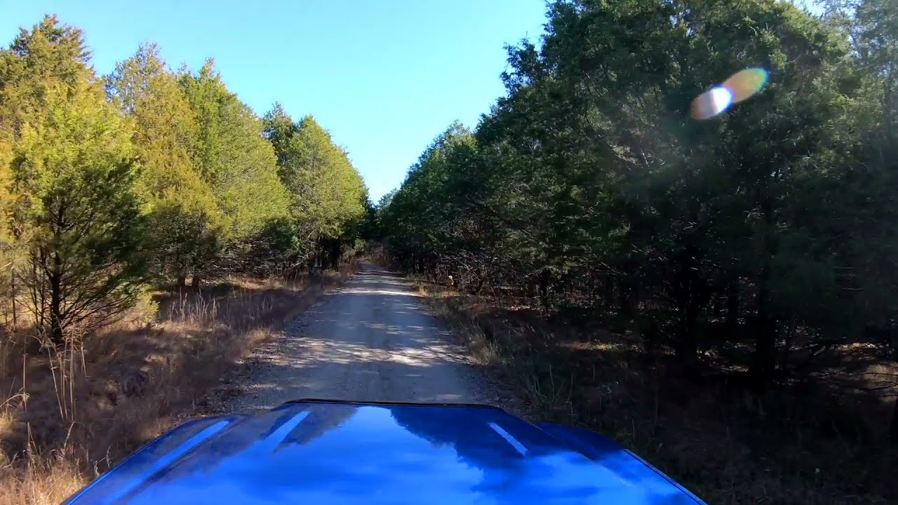Hercules Glade Wilderness. 2 short hikes at Coy Bald Trailhead.
