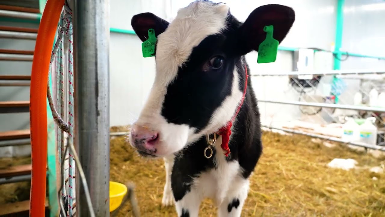 Дулаан нөөцлүүр – Ухаалаг санхүүжилт ♻️ @TranscapitalNBFI