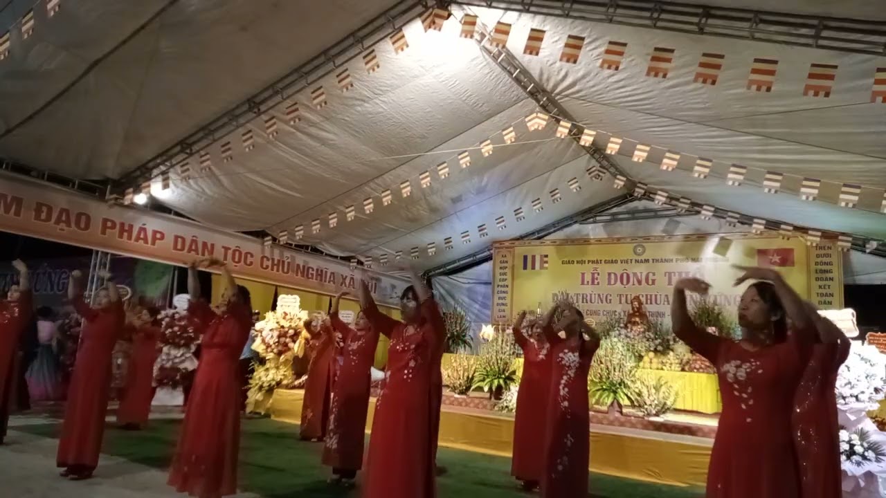 Bùi Nhịp câu lạc bộ hoa phượng 