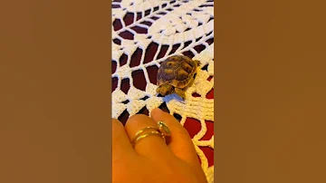 الموضوع كده لا مؤاخذه 