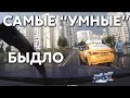 Подборка САМЫХ "УМНЫХ" водителей #389