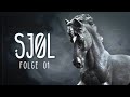 SJOL // Folge 01 - Der Anfang vom Ende 💫 (Schleich-Serie)