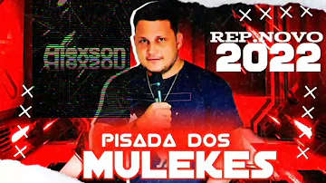 ALEXSOM PISADA DOS MULEKES NOVA  2K22