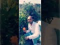 يادي من دل كرتيا كاوى