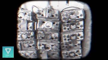 Vexahh - Underground (Official Video)