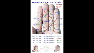 Cách nhẩm tính nhanh tuổi Tai Sát: Tam hội-Tam hợp-Tam tai- Sát (Tai Sát)