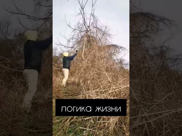 Твоя душа - Твоё богатство