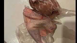 The Start Of Our Self Sustaining Delaware Meat Chickens Ep. 57