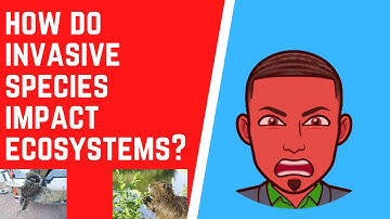 How Do Invasive Species Impact Ecosystems?