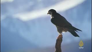 ملاذ على جبال البرانس.. على خطى الرباح