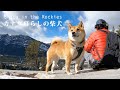 柴犬と行く低山ハイキング｜バンフの街を一望するトンネルマウンテン｜下山後はヴァーミリオン・レイクスへ立ち寄り｜カナダ海外生活｜Easy hiking with Shiba Inu in Banff